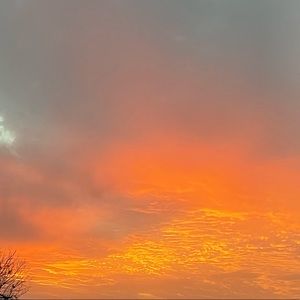 Meet your Posher, Joe